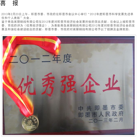 喜报 (经济强企)